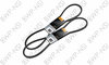 BWP-NSI CT17591 Accessory Drive Belt Continental Elite V-Belt