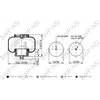 AS67768 by BWP-NSI - Continental Sleeve Air Spring