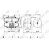 BWP-NSI AS64542 Continental Air Spring