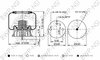 BWP-NSI AS64274 Suspension Air Spring Kit Continental Air Spring