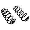 ACDelco 45H2007 Coil Spring Set Rear Coil Spring Set