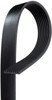 8K645 by ACDELCO - V-Ribbed Serpentine Belt