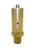 Newstar S-7656 Air Brake Safety Valve Air Brake Safety Valve, Replaces 284142P