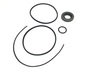 DM1-DMS by PERMCO - DUMP PUMP DIRECT MOUNT SEAL KIT