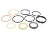 128725A1 by CASE-REPLACEMENT - REPLACES CASE, SEAL KIT, CYLINDER, HYDRAULIC, LOADER LIFT/BUCKET