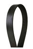 4060855 by GOODYEAR - Poly-V Belt
