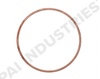PAI 131283 Engine Water Pump Gasket Engine Water Pump Gasket - Cummins 855 Series Application