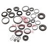 Meritor KIT 4441 Axle Differential Bearing and Seal Kit KIT BRG SEAL