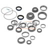 Mach M10DRK4395 Differential Bearing Kit Axle Bearing Kit - Roller Bearing