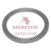 Meritor 3237N1262 ABS Wheel Speed Sensor Tone Ring ABS Wheel Speed Sensor Tone Ring
