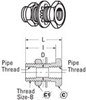 Weatherhead 1346 Hydraulic Hose Hydraulics Adapter - Air Brake Bulkhead Coupling - Female Thread