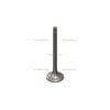 C6204414210 by CUMMINS - Engine Exhaust Valve