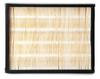 Fleetguard AF55783 Engine Air Filter Cabin Air Filter