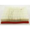 Fleetguard AF4189 Engine Air Filter Air Filter, Panel