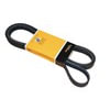 ContiTech PK060895