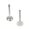 Osvat 0428BM Engine Exhaust Valve Engine Exhaust Valve for VOLKSWAGEN WATER