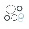 Omega Environmental Technologies 2013 Steering Gear Pitman Shaft Seal Kit Steering Gear Pitman Shaft Seal Kit - Complete