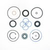 Omega Environmental Technologies 2132 Steering Gear Seal Kit Power Steering Pressure Hose Seal - Steering Gear Major Seal Kit