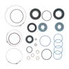 Omega Environmental Technologies 2220 Rack and Pinion Seal Kit Rack and Pinion Seal Kit