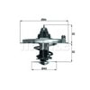 HELLA TX36-80D THERMOSTAT INSERT BM