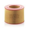 MANN+HUMMEL Filters C20189 Engine Air Filter
