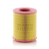 MANN+HUMMEL Filters C29010