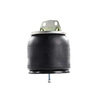 W013589966 by FIRESTONE - AIR SPNG