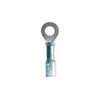 Phillips Industries 1-1875C Butt Connector Ring Terminal - 16-14 ga., Blue, #10 Stud, 5 Pieces, Heat Required