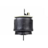 Firestone W013589675 Suspension Air Spring Kit AIRSPRING