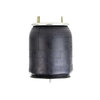 Firestone W013589921 Suspension Air Spring Kit AIRSPRING