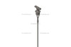 Cummins 3963566 Engine Oil Dipstick Engine Oil Dipstick