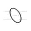 Cummins 153518 Multi-Purpose O-Ring Multi-Purpose O-Ring - O-Ring Seal Rectangular