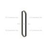 Cummins 3289437 Serpentine Belt V Ribbed Belt