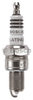 Bosch 4021 Spark Plug AIR/HYD PUMP W/REMOTE CONTROL