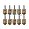 Coolstar 962-3308 EATEN 16MM M10 VLV.CORES/10