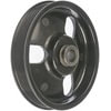Dorman 300-100 Power Steering Pump Pulley Power Steering Pump Pulley