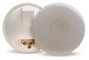 Grote 62421 Back Up / License Plate Light CLEAR ECONOMY BACK-UP LAMP