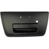 Dorman 81576 Tailgate Handle Tailgate Handle