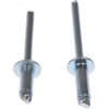 Dorman 961-035 Steel Rivet Assortment Rivet - Steel - 3/16 In.-Assortment