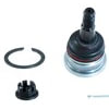 Dorman B90255XL Suspension Ball Joint Suspension Ball Joint