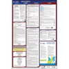 JJ Keller 41271 2021 Idaho & Federal Labor Law Posters - All-In-One State & Federal Poster (English)