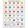 JJ Keller 1132 Hazardous Materials Placard Chart - 2-Sided, 8-1/2" x 11" - Hazardous Materials Placard Chart