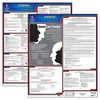 38142 by JJ KELLER - 2022 Kansas & Federal Labor Law Posters - State & Federal Poster Set (English)