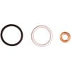 DT600015 by DIPACO - External injector o-rings and nozzle washer for reinstalling the injector.