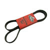 21556637 by MACK - Serpentine Belt