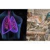 JJ Keller 52034 Crystalline Silica for Construction Employers - Streaming Video Training Program - Streaming Video - English