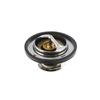 481829 by PAI - Engine Coolant Thermostat - 180° F Opening Temperature, Vented, for 1993-2003 International DT466E HEUI/DT530E HEUI Engines Application