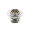 PAI 381861 Engine Coolant Thermostat THERMSTAT