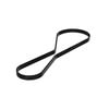 Freightliner 01-32154-461 Accessory Drive Belt Accessory Drive Belt - Fan Drive, 6 Rib, EPDM, Aramid Fiber, 1461 mm