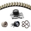 Dayco WP319K2BS Engine Timing Belt Kit with Water Pump WATER PUMP KIT WITH SEALS, DAYCO